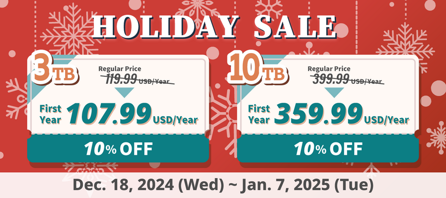 Holiday Sale 2024