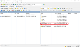 WinSCP Step 3. Upload is complete.png