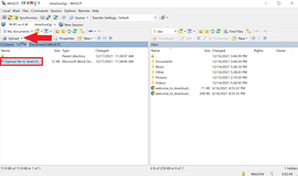 WinSCP Step 1. Upload Select File or Folder- Click Upload or drag and drop.png